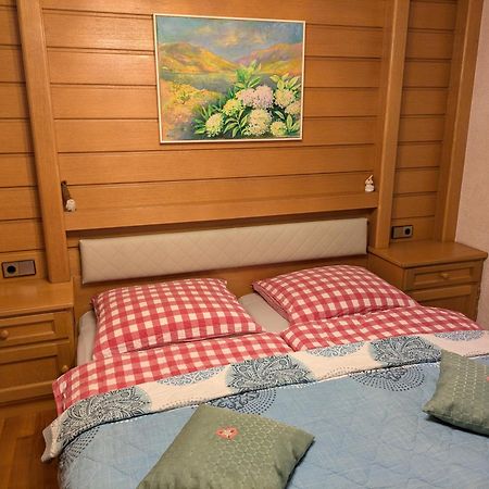 Montahaus Retro Apartments Vandans Ngoại thất bức ảnh